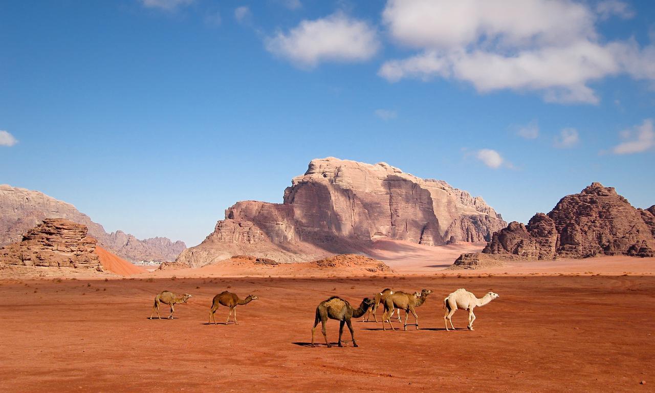 Wadi Rum Moon Light Camp Exteriér fotografie