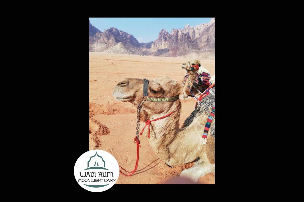 Wadi Rum Moon Light Camp Exteriér fotografie