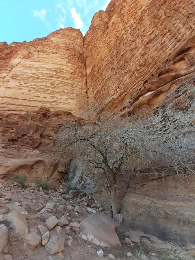 Wadi Rum Moon Light Camp Exteriér fotografie